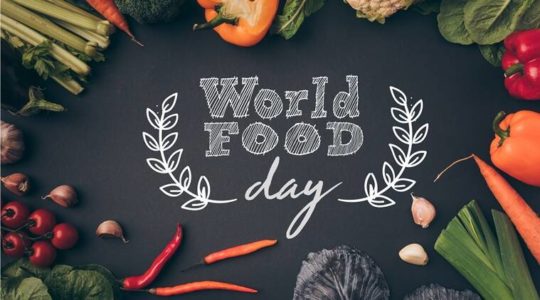 World Food Day